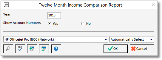 12 mth inc comp report