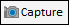 capture button