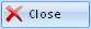 Close Button