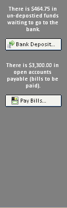 Detail picture of the pay bills - make deposit panel on d&a window