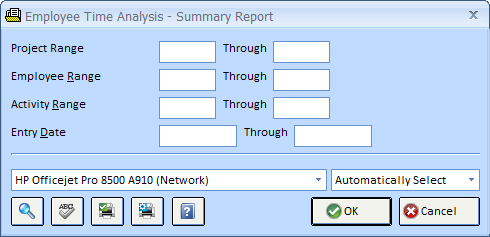 Employee Time Analysis -Summary Report Window