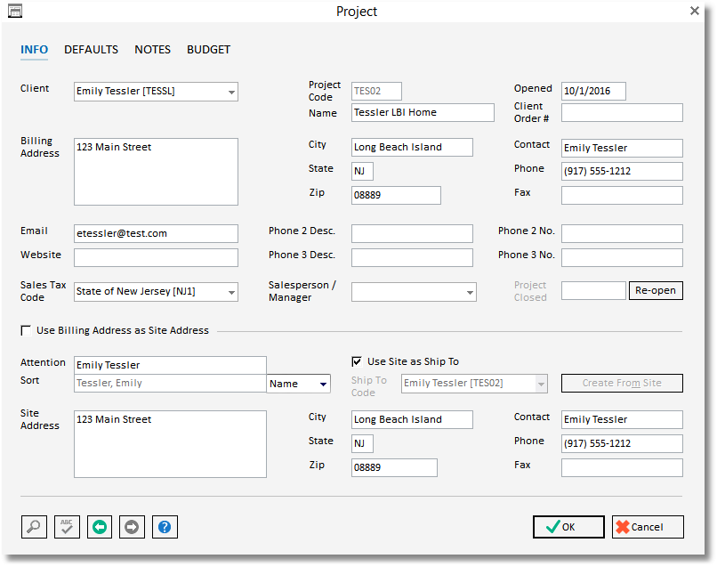 project - project tab