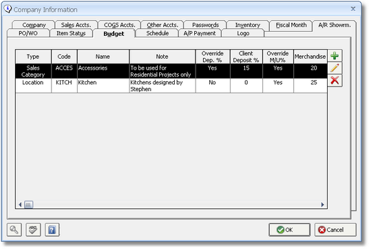 Company Information Window - Budget tab