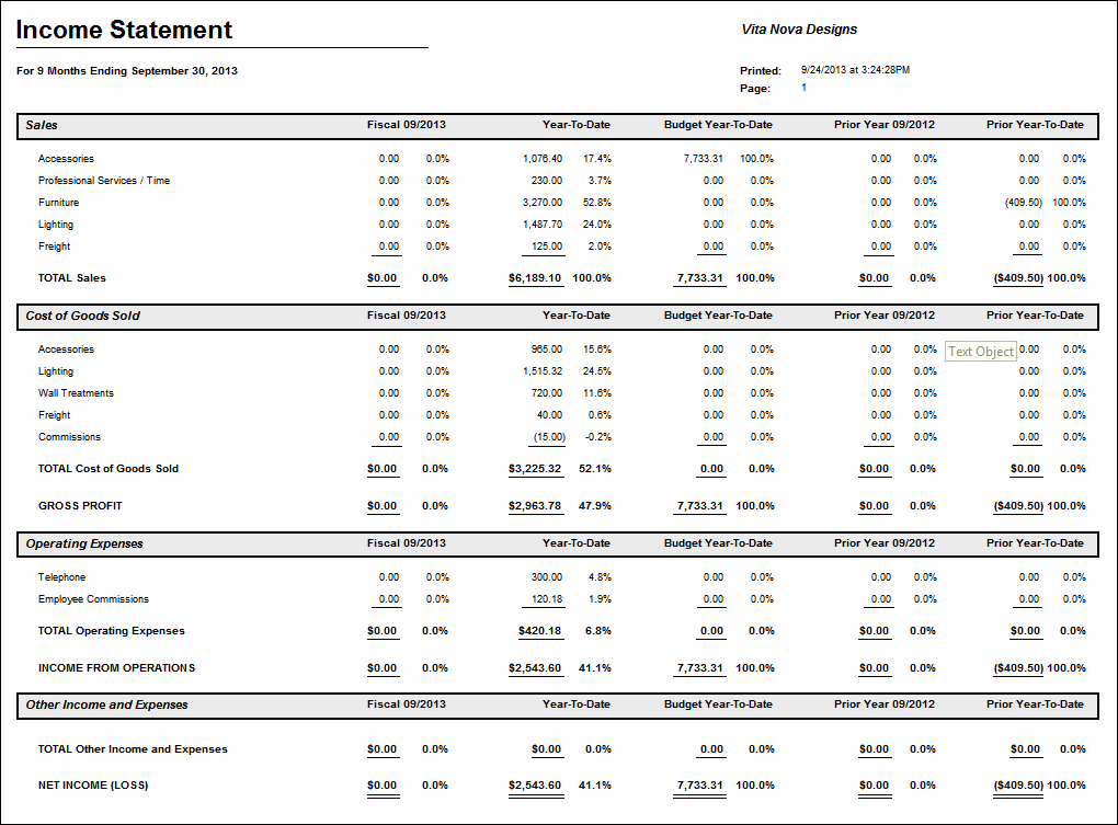 monthly income stmt report example-month_YTD_Budg_prior YTD