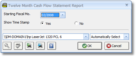 Twelve Month Cash Flow Statement Report