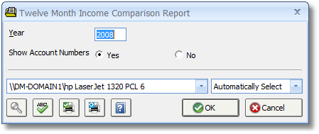 Twelve Month Income Comparision Report